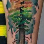 Tattoos - Autumn Aspen Inspired Redwood - 129158